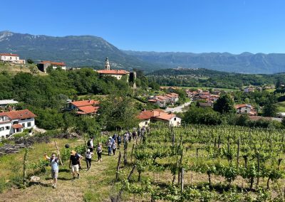 Vipava Wine & Walk